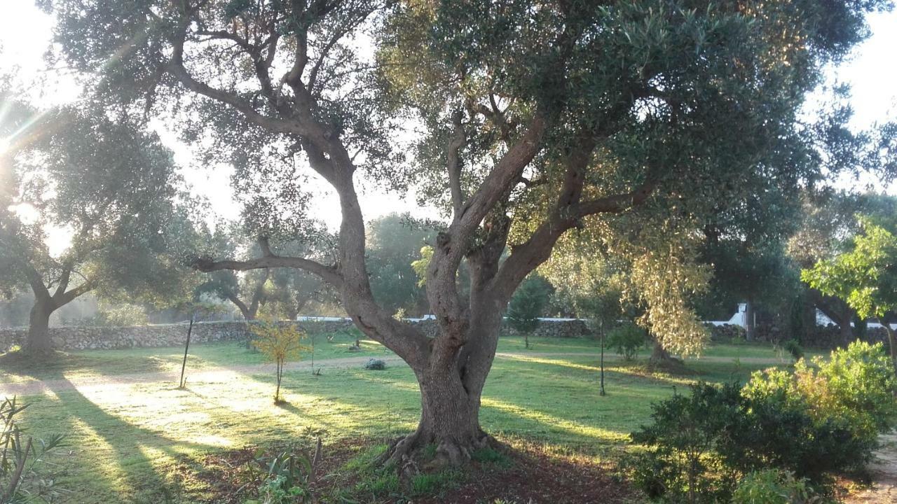 Sol Invictus Est Villa Serranova Exterior photo